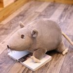 Realistic Rat Plush