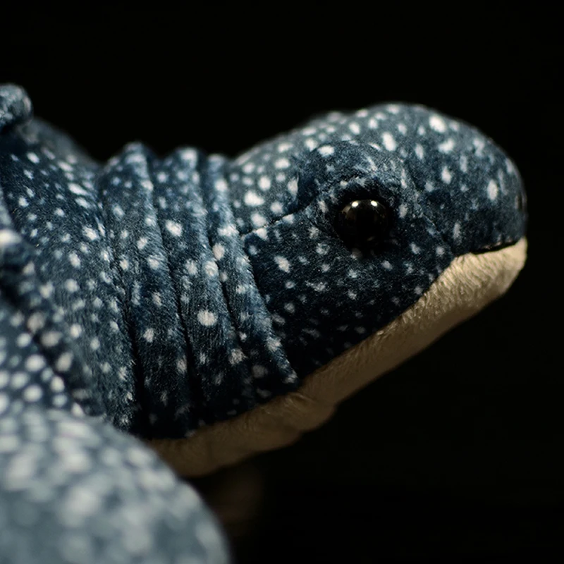 Leatherback Turtle Stuffed Toy | 30cm Real Life Tortoise Model Plush -6