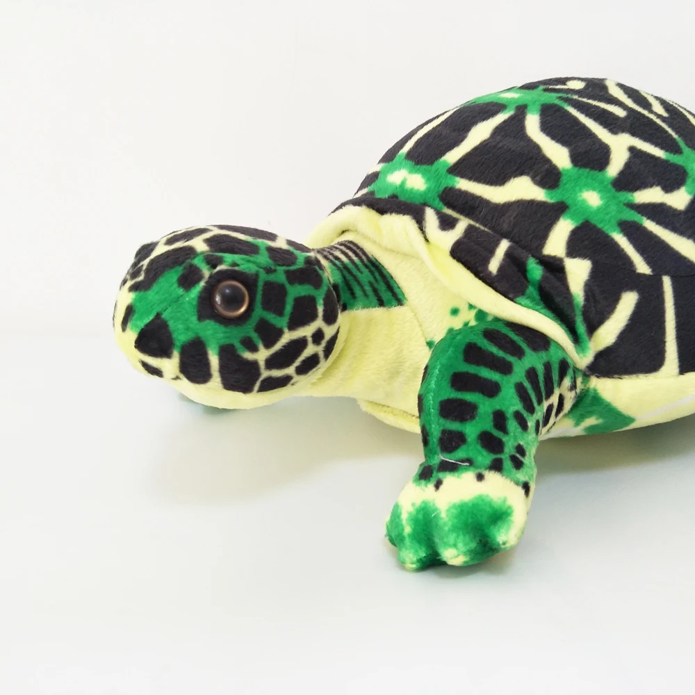 Box Turtle Plush｜Simulated Turtle Sea Animal -9