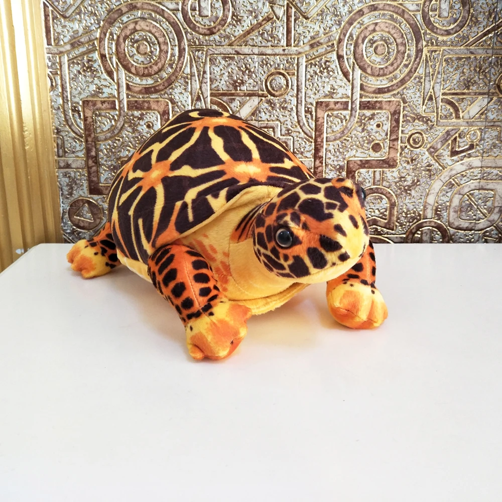 Box Turtle Plush｜Simulated Turtle Sea Animal -2