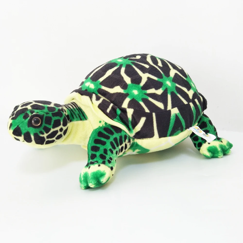 Box Turtle Plush｜Simulated Turtle Sea Animal -8