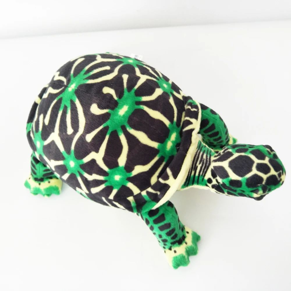 Box Turtle Plush｜Simulated Turtle Sea Animal -12