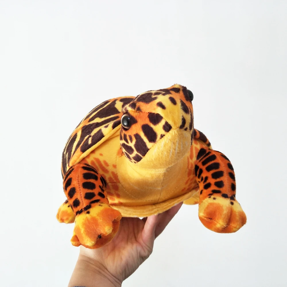 Box Turtle Plush｜Simulated Turtle Sea Animal -6