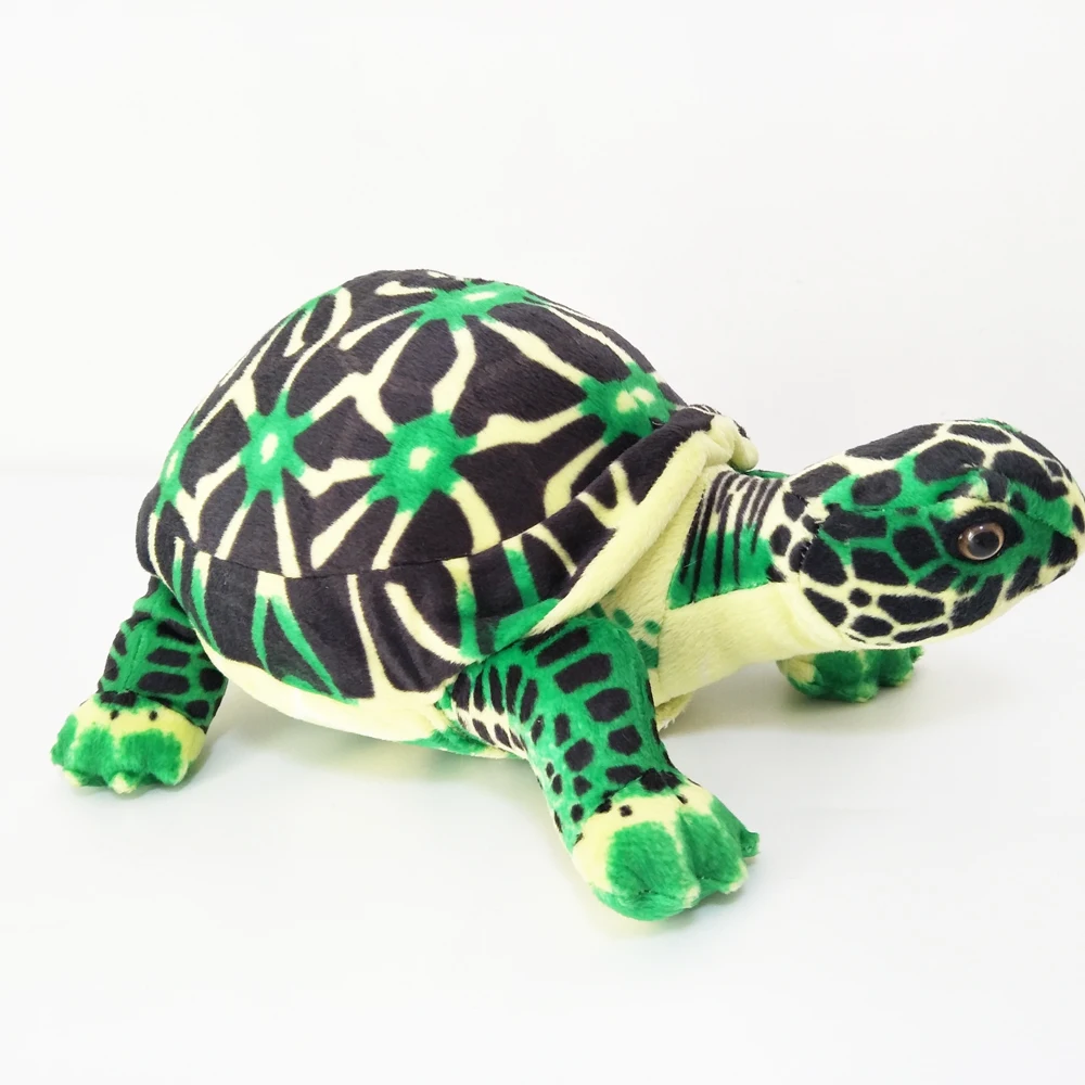 Box Turtle Plush｜Simulated Turtle Sea Animal -10