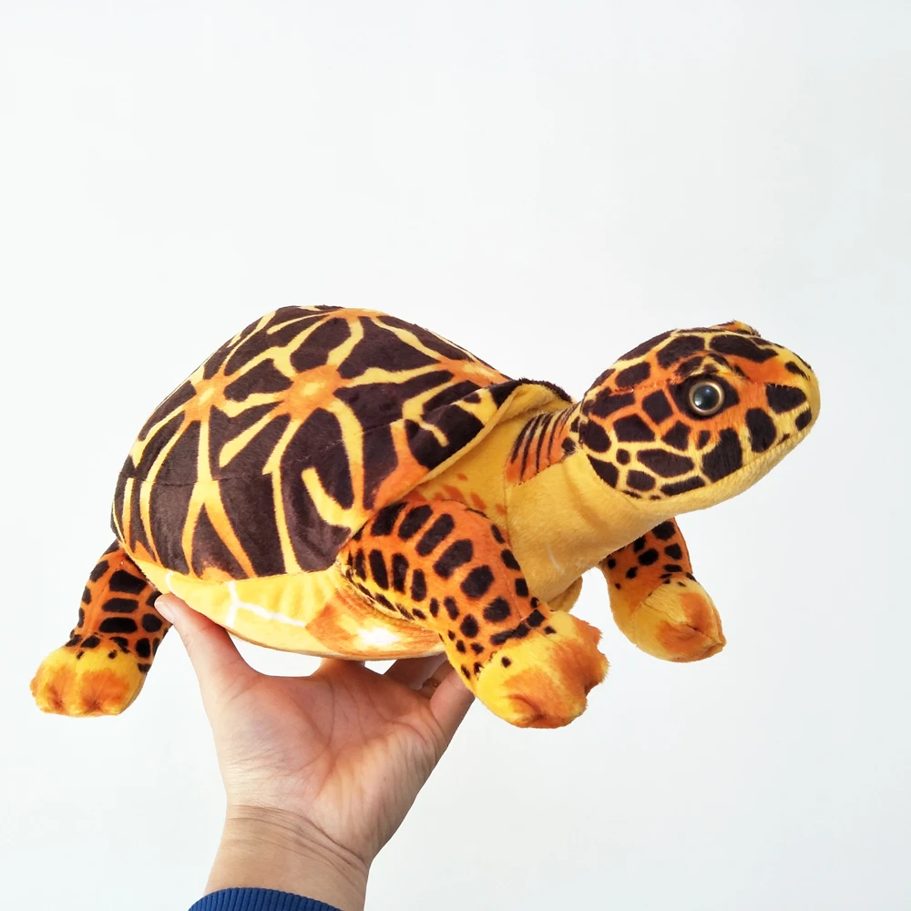 Box Turtle Plush｜Simulated Turtle Sea Animal -5