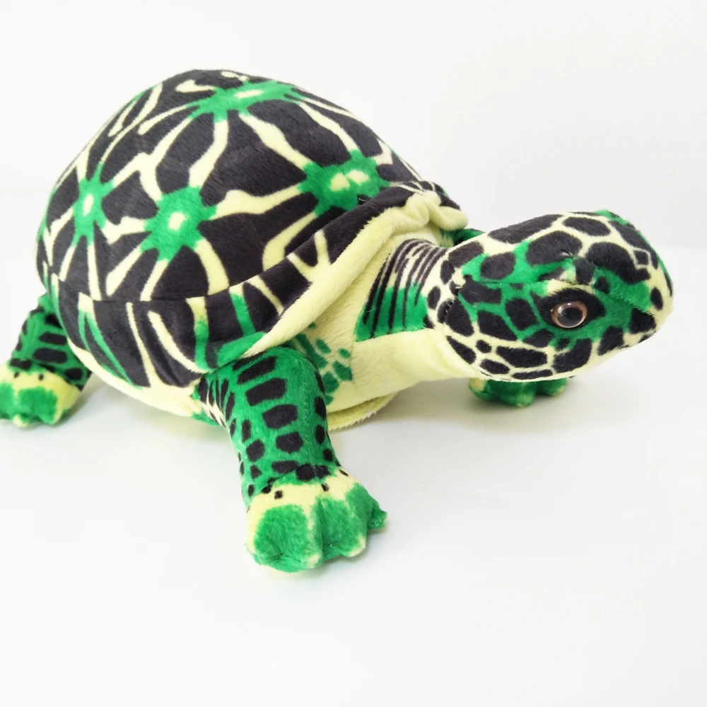 Box Turtle Plush｜Simulated Turtle Sea Animal -11