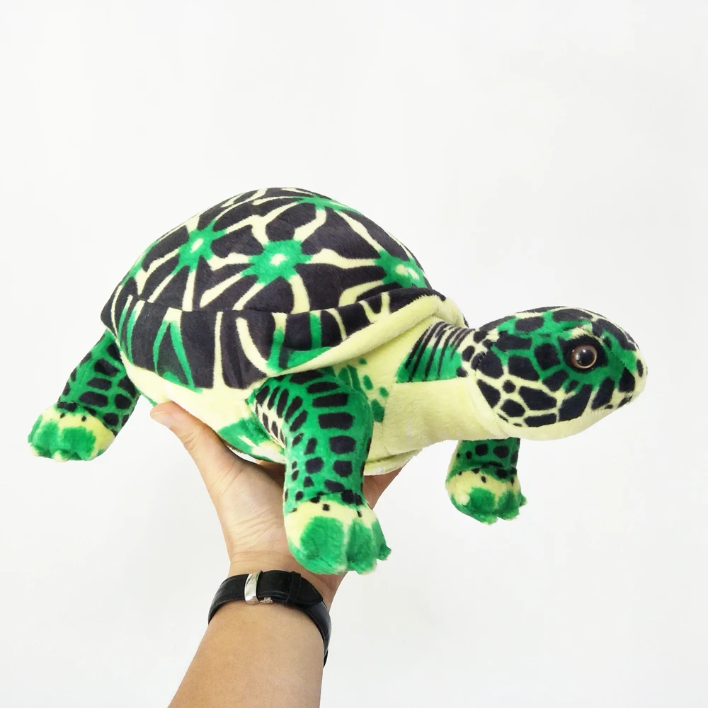 Box Turtle Plush｜Simulated Turtle Sea Animal -14