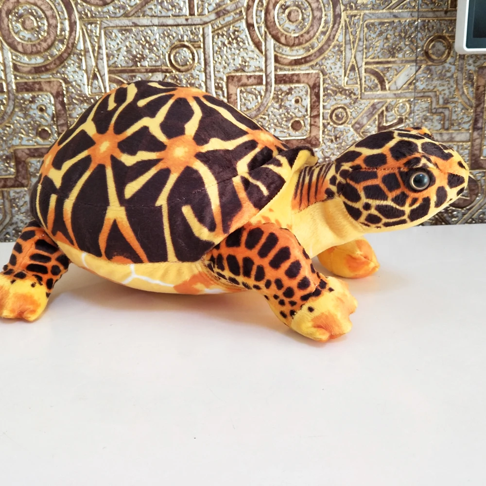Box Turtle Plush｜Simulated Turtle Sea Animal -4