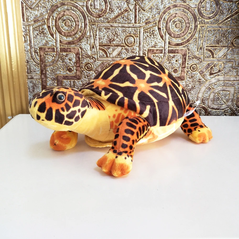 Box Turtle Plush｜Simulated Turtle Sea Animal -1