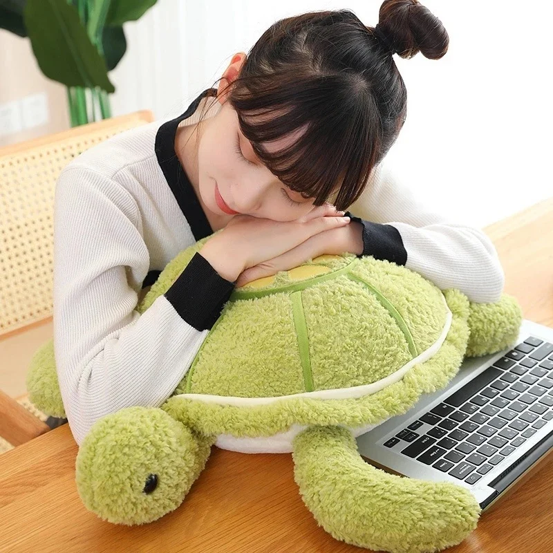 Big Turtle Plush | Lovely Tortoise Toy -11