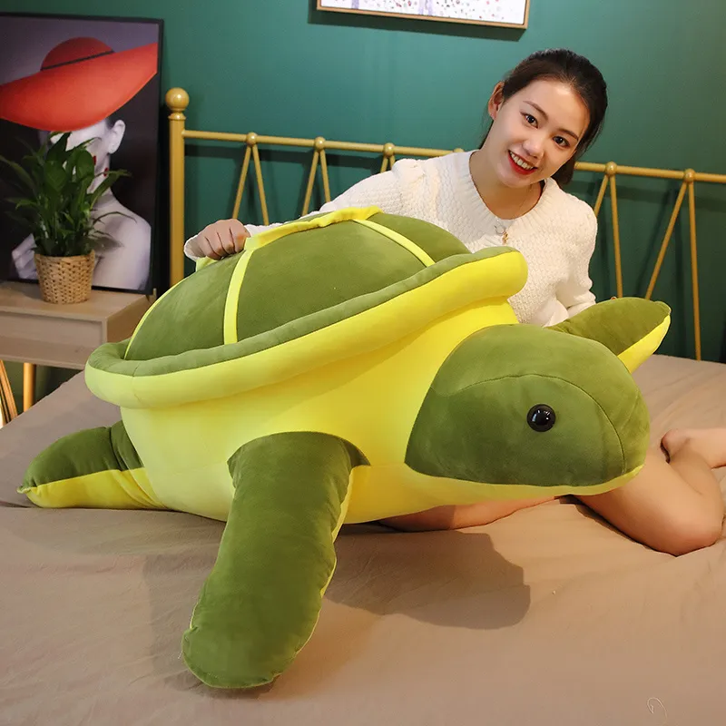 Cute Tortoise Plush Toy -4