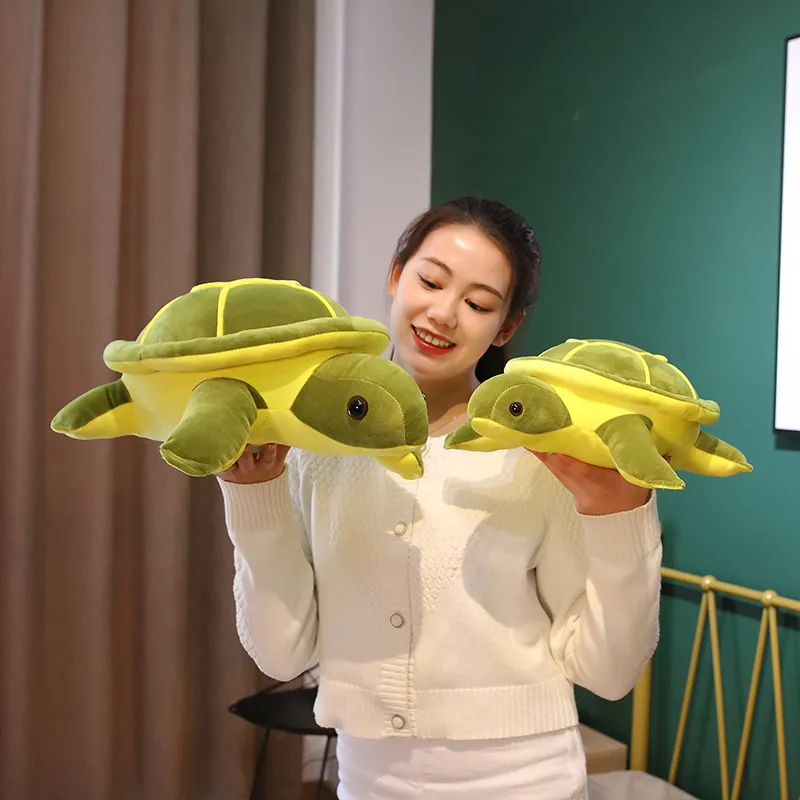 Cute Tortoise Plush Toy -18