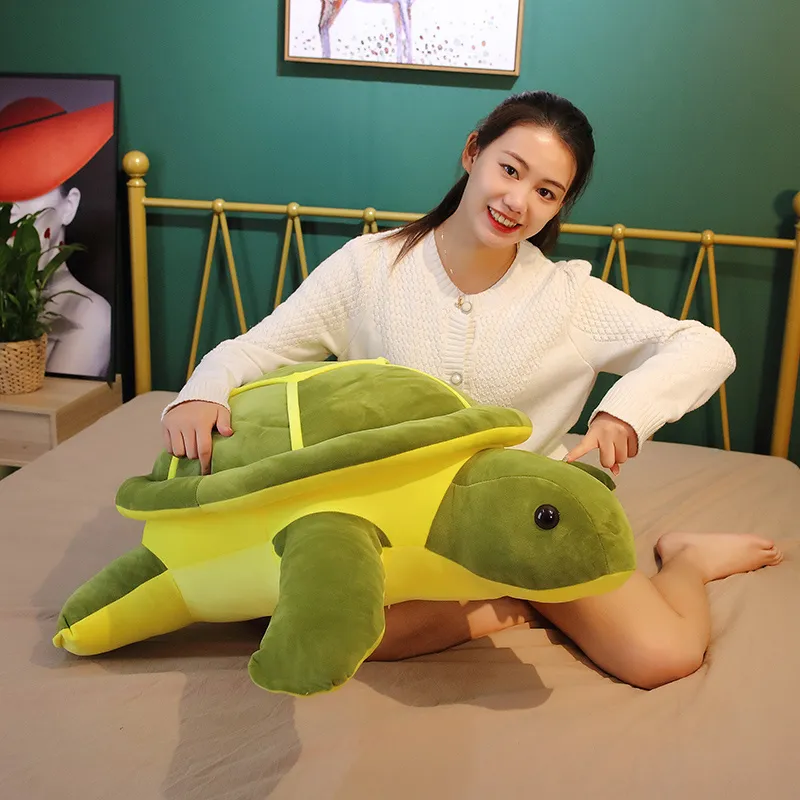 Cute Tortoise Plush Toy -3