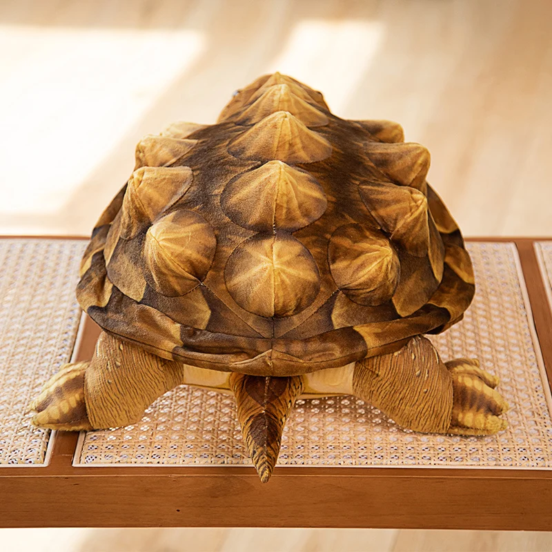 Snapping Turtle Plush | 60cm Simulation Macrochelys Temminckii Plush Toy -11