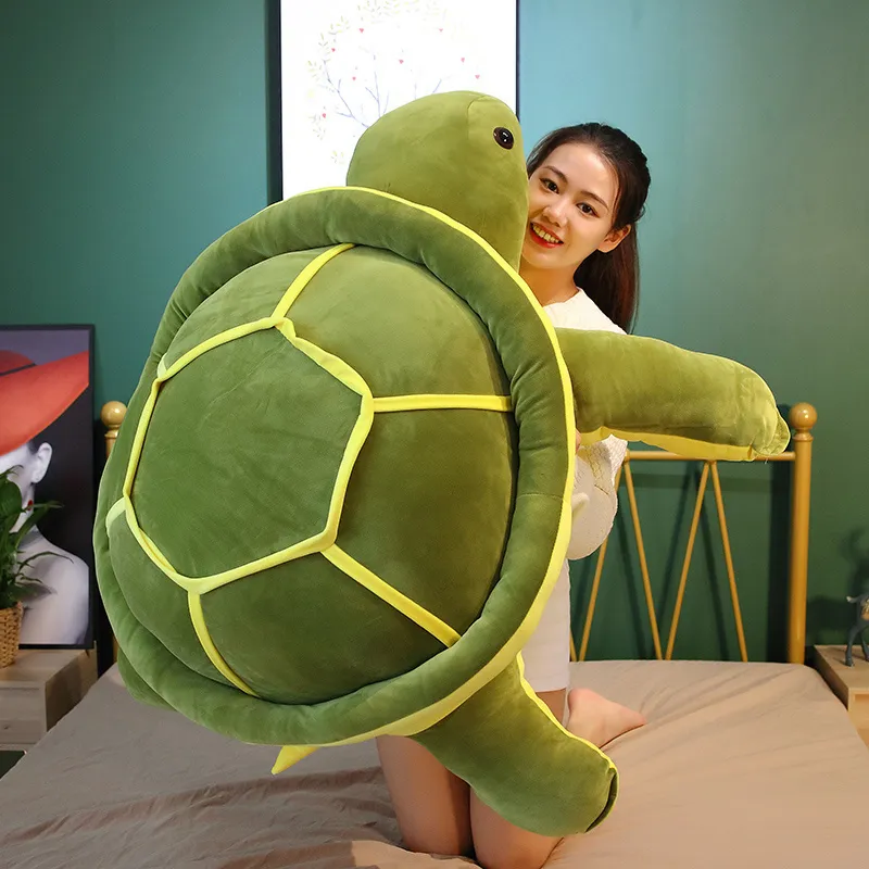 Cute Tortoise Plush Toy -7