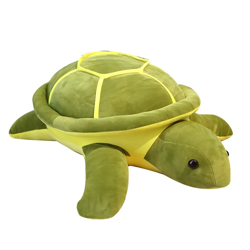 Cute Tortoise Plush Toy -1