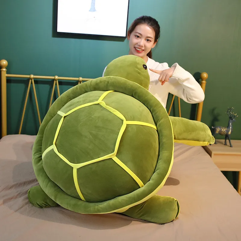 Cute Tortoise Plush Toy -13