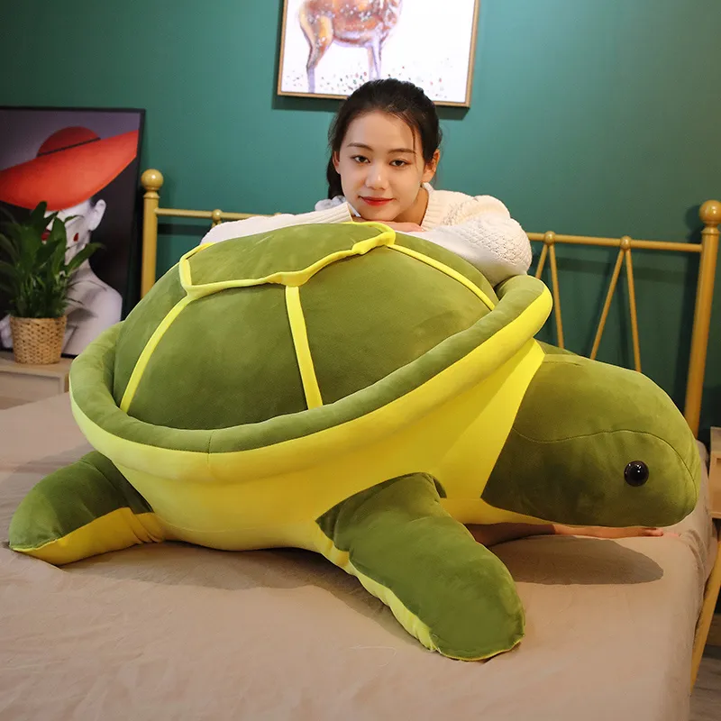 Cute Tortoise Plush Toy -6