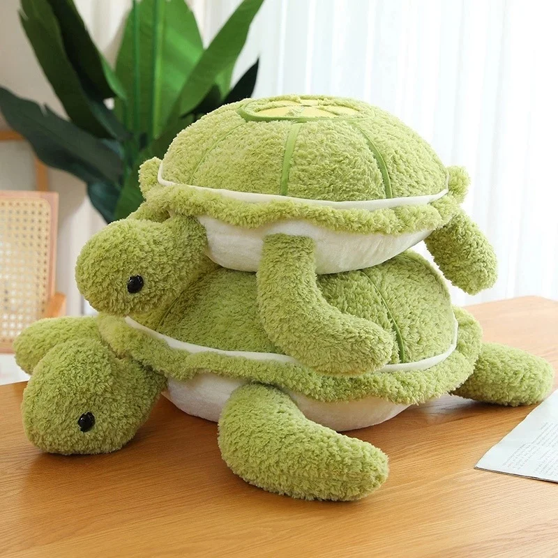 Big Turtle Plush | Lovely Tortoise Toy -14