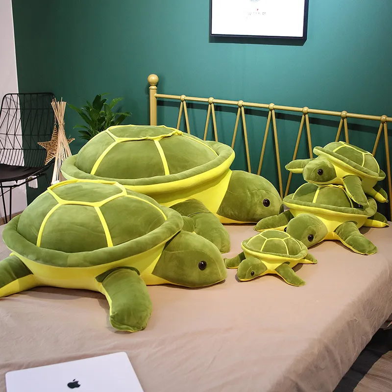 Cute Tortoise Plush Toy -2