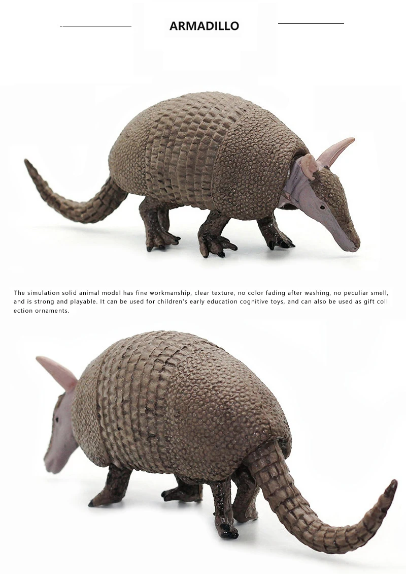 Solid Armadillo Model Action Figure -4