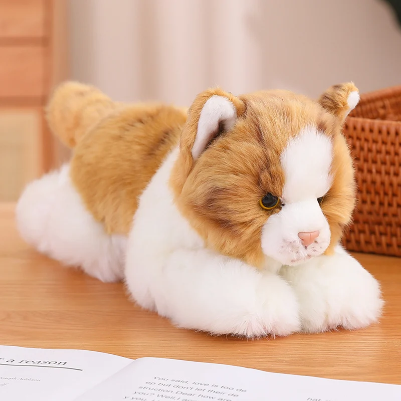 Kitty Cat Plush -1