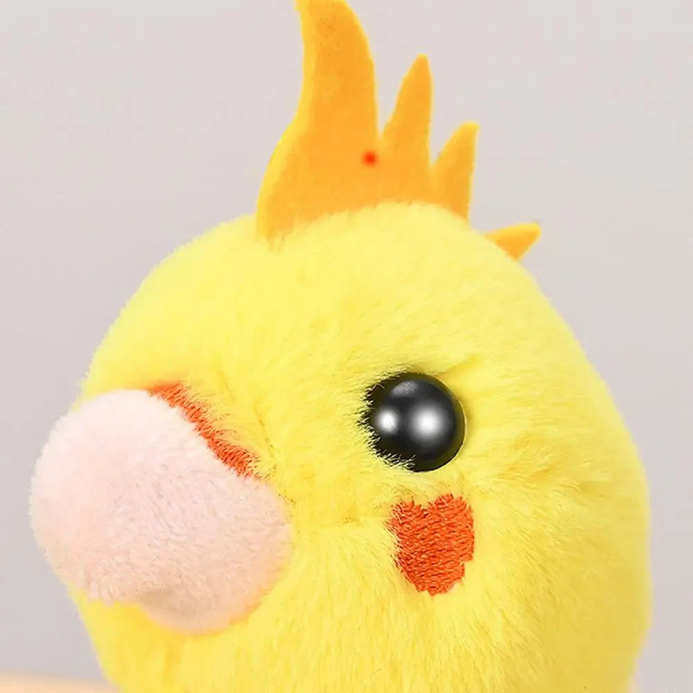 Child friendly interactive pet toy