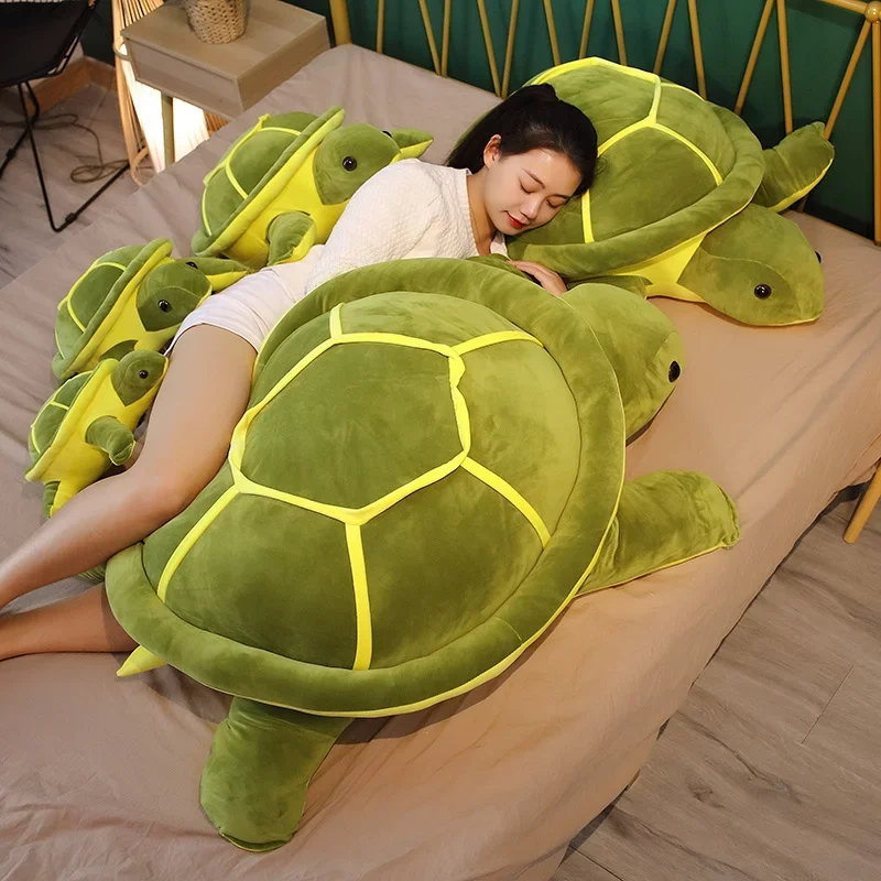 Creative cuddly tortoise designs