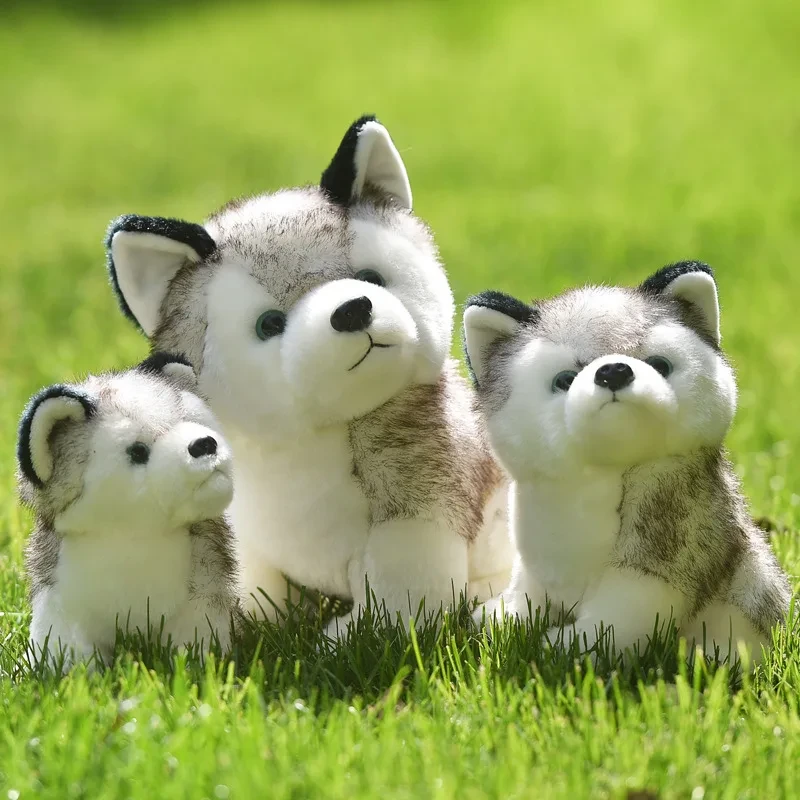 Cute Kawaii Husky Doll