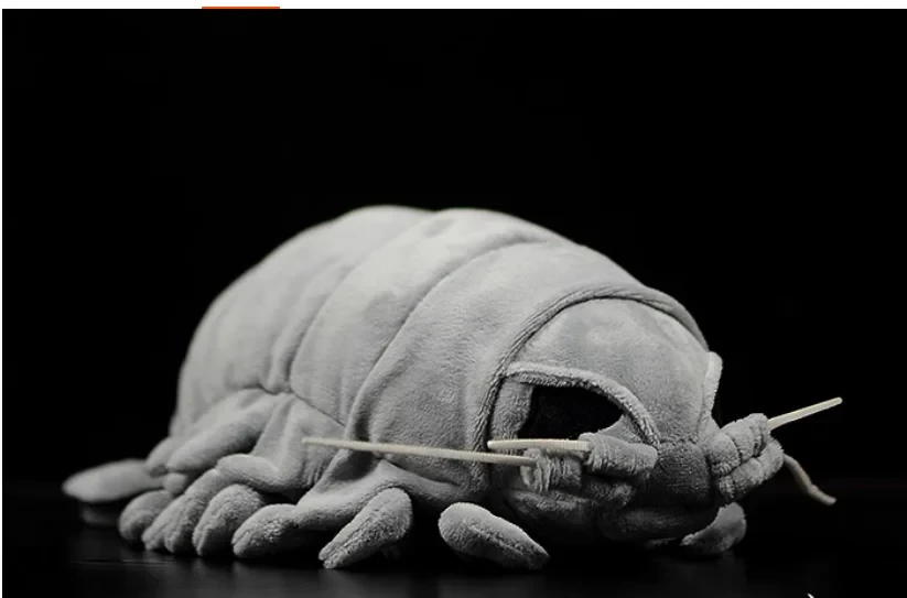 Giant isopod soft animal toy