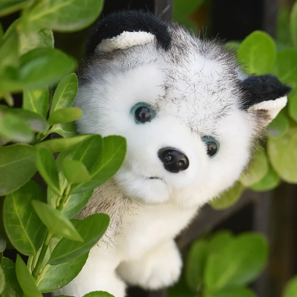 Husky Dog Stuffed Toy for Kids