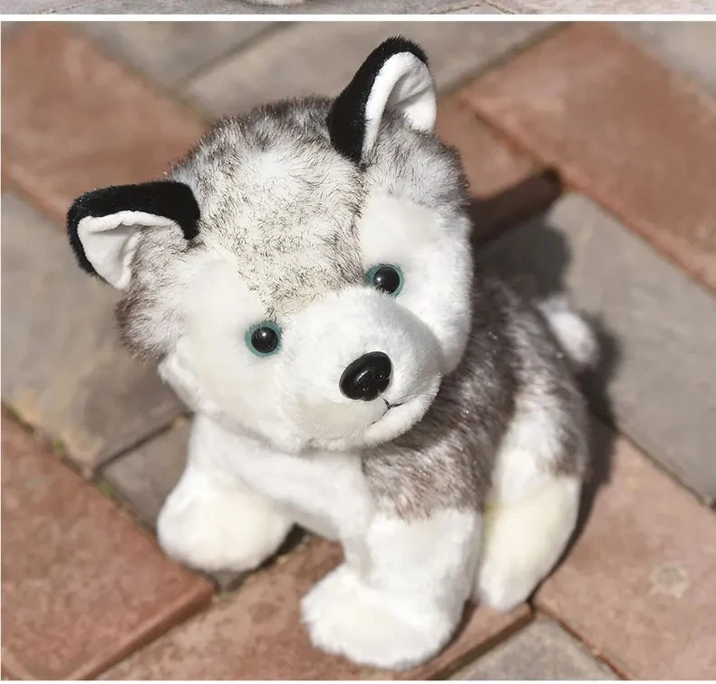 Kawaii Husky Dog Plush