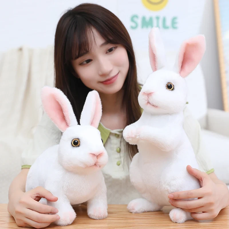 Kawaii home decoration toy