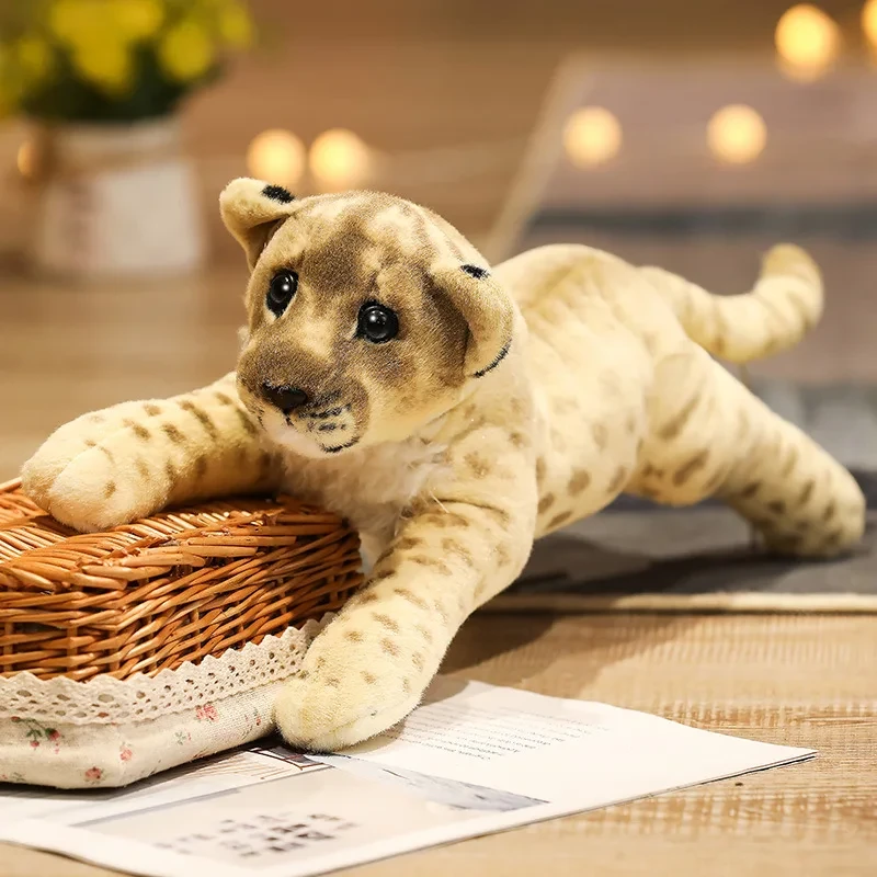 Soft plush wildlife toy collection