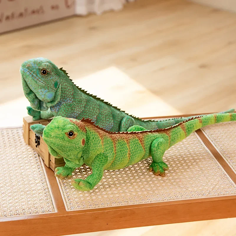 Unique gift for reptile lovers