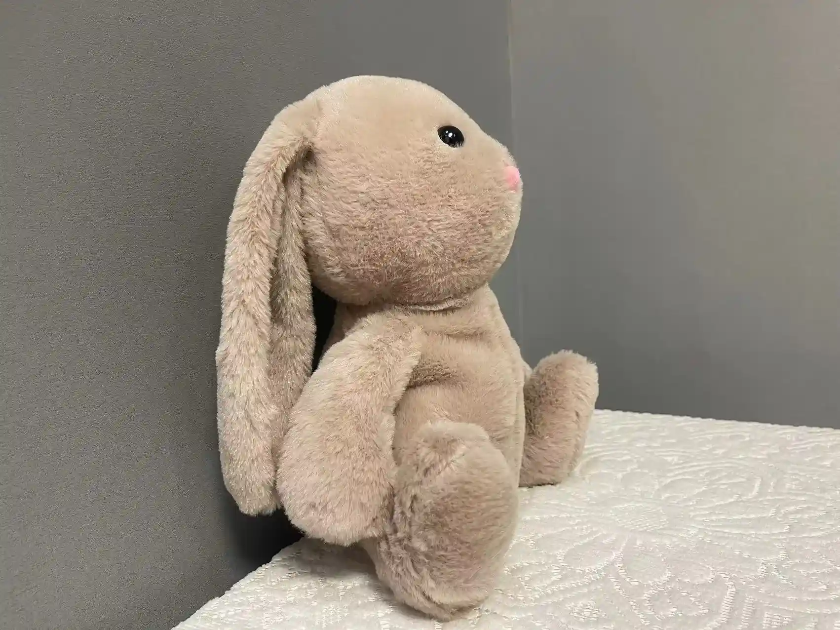 soft stuffed animal with light music