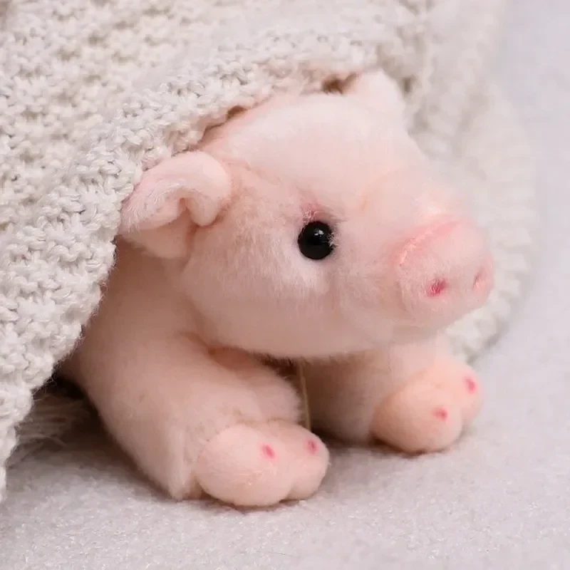 stuffed lucky pig toy